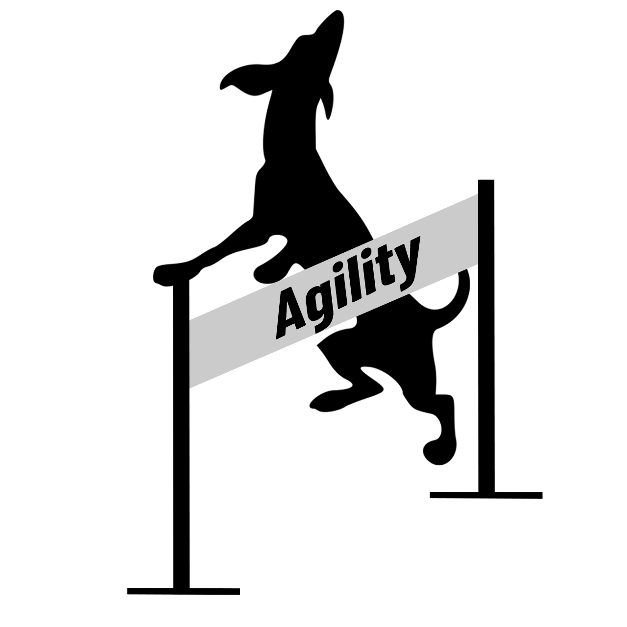 Agility